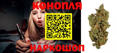 гашик Можайск