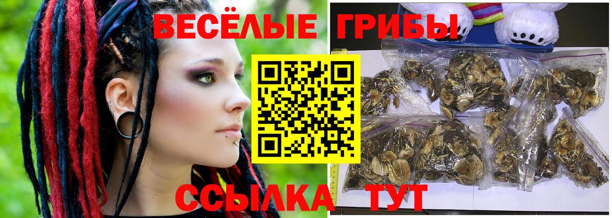 Сургут  купить наркоту  Галлюциногенные грибы Cubensis  Вход с VPN  Псилоцибиновые грибы MAGIC MUSHROOMS 